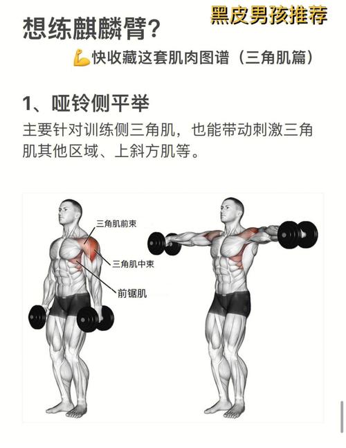 肱三头肌锻炼方法的相关图片