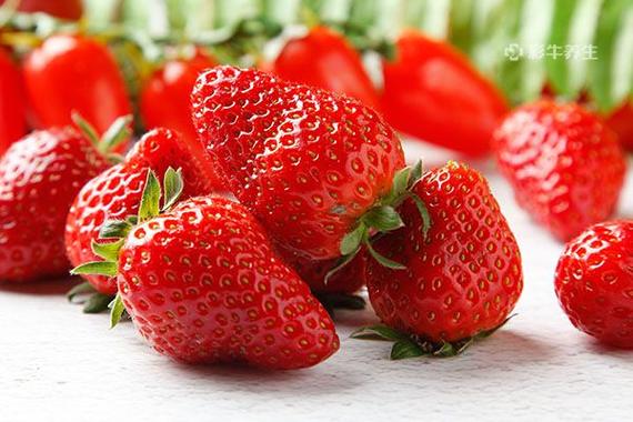 草莓是低糖水果吗的相关图片