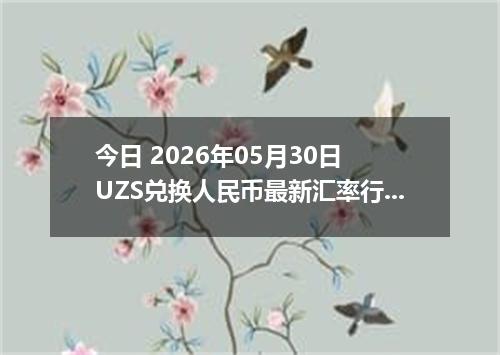 今日 2026年05月30日 UZS兑换人民币最新汇率行情